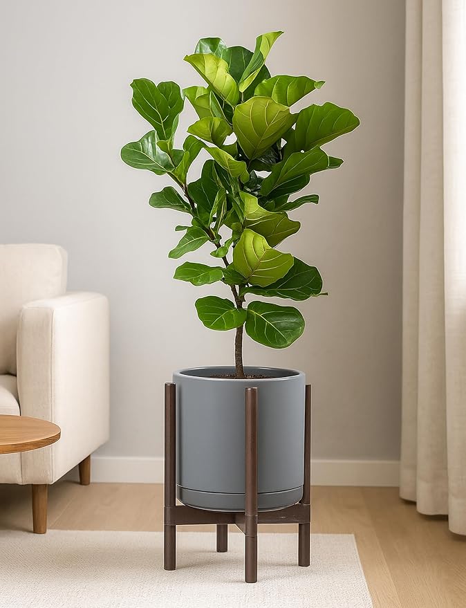 D'vine Dev Ceramic Planter with Walnut Color Stand - 12 Inch Modern Round Flower Pot with Wood Planter Holder, Grey, 55-B-W-3 - Bloomnest