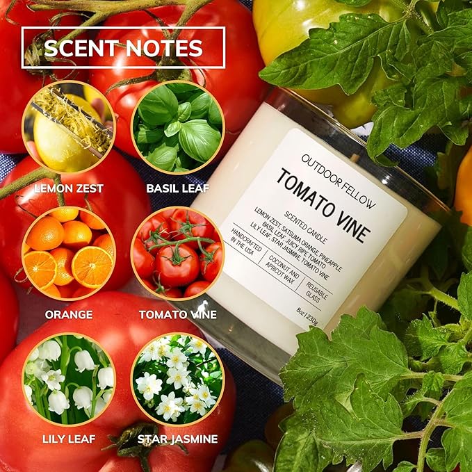 Outdoor Fellow Tomato Vine Scented Candle – 8oz Coconut Wax Blend – Strong Scent Throw – Inspired by Backyard Tomato Plants – Luxury Tomato Leaf Candle in Reusable Glass Jar - Bloomnest