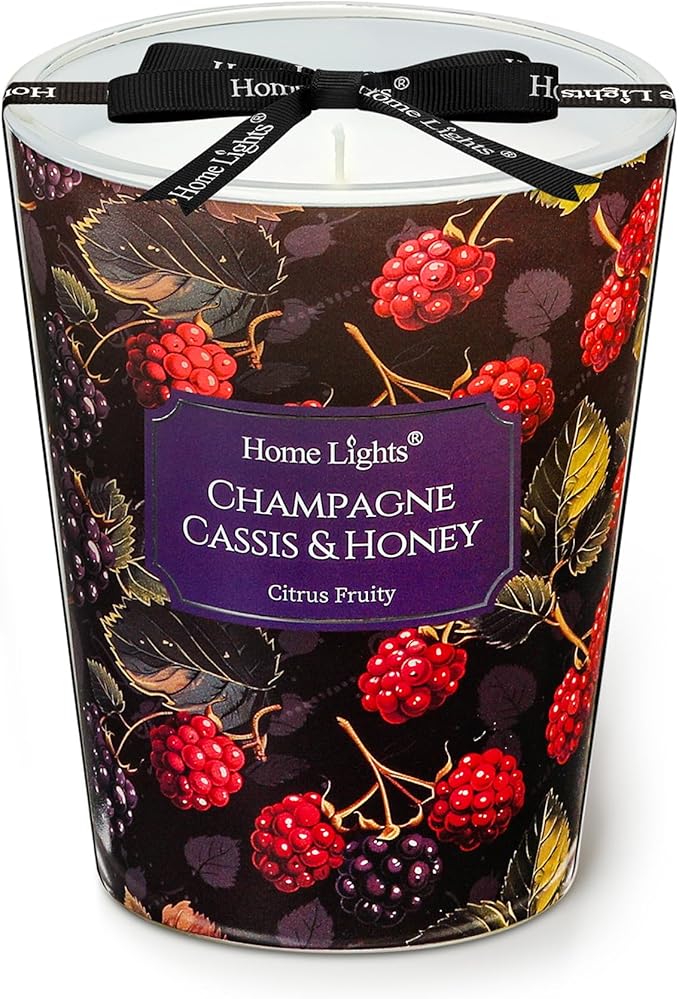 HomeLights Scented Candles for Women & Men, 6.7oz Candle Jars Aromatherapy Single Wick Candle, Ideal for Eclectic Mixed Styles Home Decor and Gifts, Champagne Cassis & Honey - Bloomnest