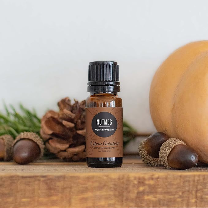 Edens Garden Nutmeg Essential Oil- 100% Pure Premium Grade, Undiluted, Natural, Therapeutic, Aromatherapy, The Best for Diffuser, Candle, Laundry, Humidifiers 30 ml (1 fl oz) - Bloomnest