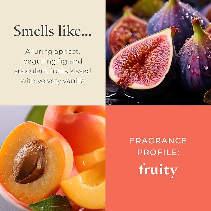 PartyLite Gift Set of 12 Universal Tea Lights, Fig Fatale Scented, Notes of Apricot, Green Fig, Peach, Mango, Strawberry and Vanilla, 4-6 Hour Burn Time, Luxurious & Rich, Perfect for Gifting - Bloomnest