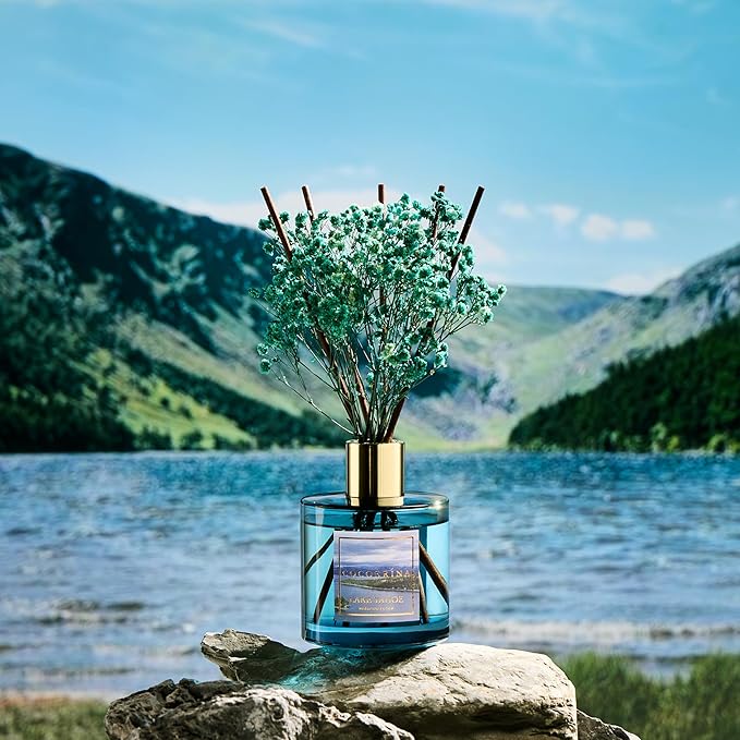 COCORRÍNA Reed Diffuser - Lake Tahoe 6.7 Fl.oz Reed Diffuser Set with 8 Sticks & Preserved Baby's Breath, Reed Diffuser for Home Bathroom Shelf Decor - Bloomnest