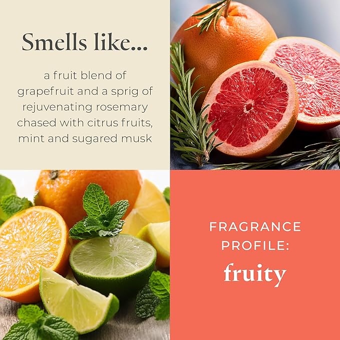 PartyLite Set of 12 Tea Lights Candles, Grapefruit & Rosemary Scent, Aromatherapy Scented Candles Gift Set, Up to 4 to 6 Hours Burn Time - Bloomnest