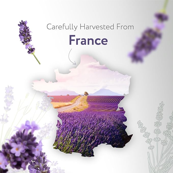 HBNO California Bottled Dutch Lavender Essential Oil 4 fl oz (120ml) - Natural Lavender Oil for Skin, Perfect for Cleaning, Aromatherapy, DIY & Diffuser - Bloomnest