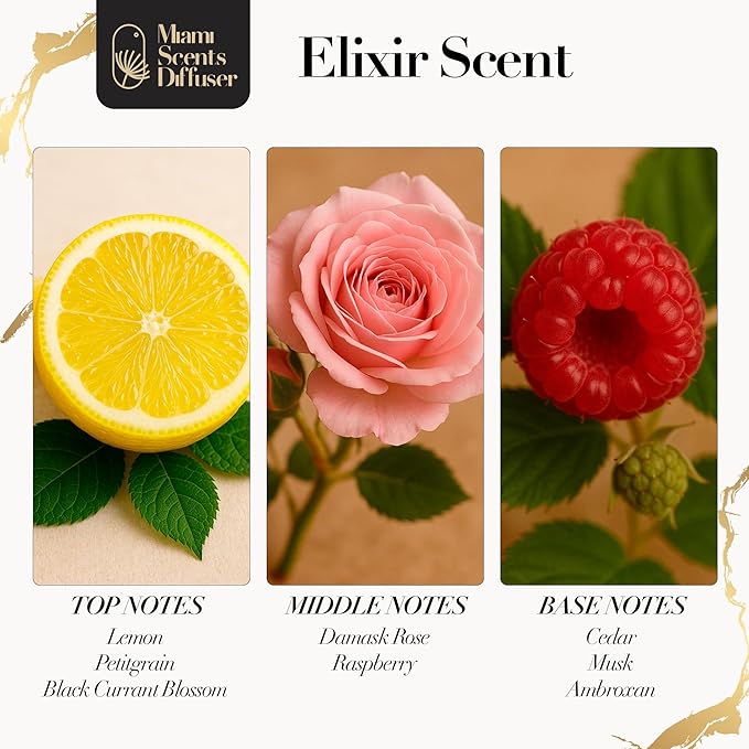 Elixir Scent Inspired by Wynn Las Vegas Hotel 4 Fl Oz - 120 ml - Essential Oils Aroma for Home Office Business Diffuser - Luxury Fragance Refill - Aromatherapy Natural Fresh Blend of Vanilla and Amber - Bloomnest