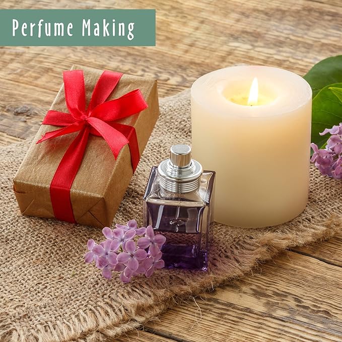 Pine Forest Fragrance Oil, MitFlor Single Scented Oil, 30ml Large Size Premium Fragrance Oil for Soap & Candle Making, Aromatherapy Essential Oil for Diffuser, Fresh Woody Scent for Home Fragrance - Bloomnest