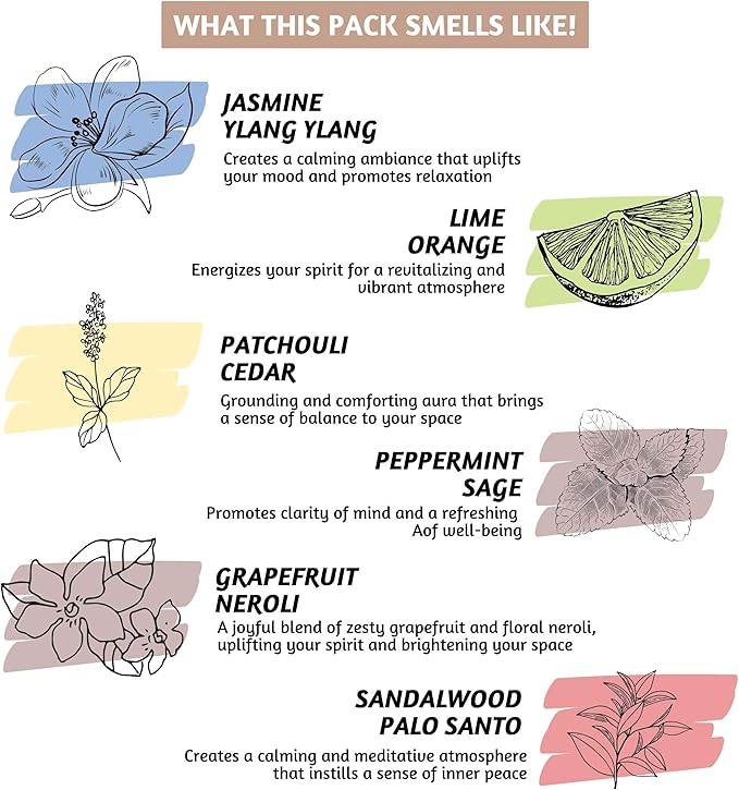 Folkulture Incense Sticks | Pack of 12 Non Toxic Insenses (240 Sticks) with Incense Holder | Frankincense, Jasmine, Patchouli, Palo Santo, Organic Lavender Organic Inscents-Sticks for Home - Bloomnest