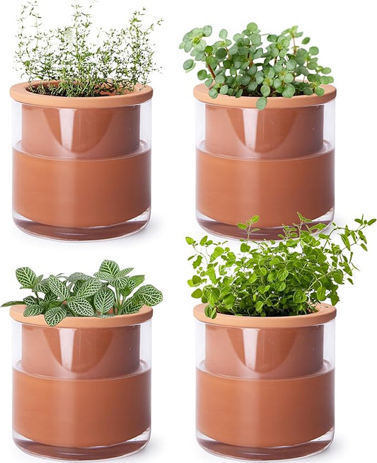 Phoenix Vine 4 Inch Self Watering Plants Pot, Design Terracotta Pot for Plants, Indoor Cylinder Terra Cotta Planter with Glass Vase, Set of 4, 51-A-E-4 - Bloomnest