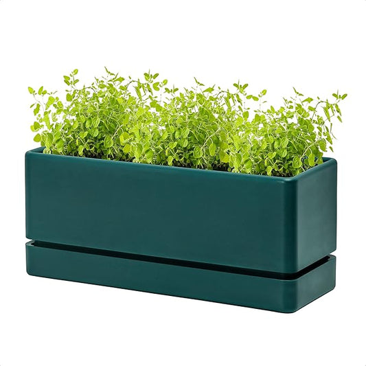 D'vine Dev 12 Inch Window Box Planter, Rectangle Plastic Herb Planter with Drainage Holes and Saucer, Indoor Succulent Cactus Vegetable Pot for Windowsill, Garden Balcony, Green, Set of 1, 76-X-C-1 - Bloomnest