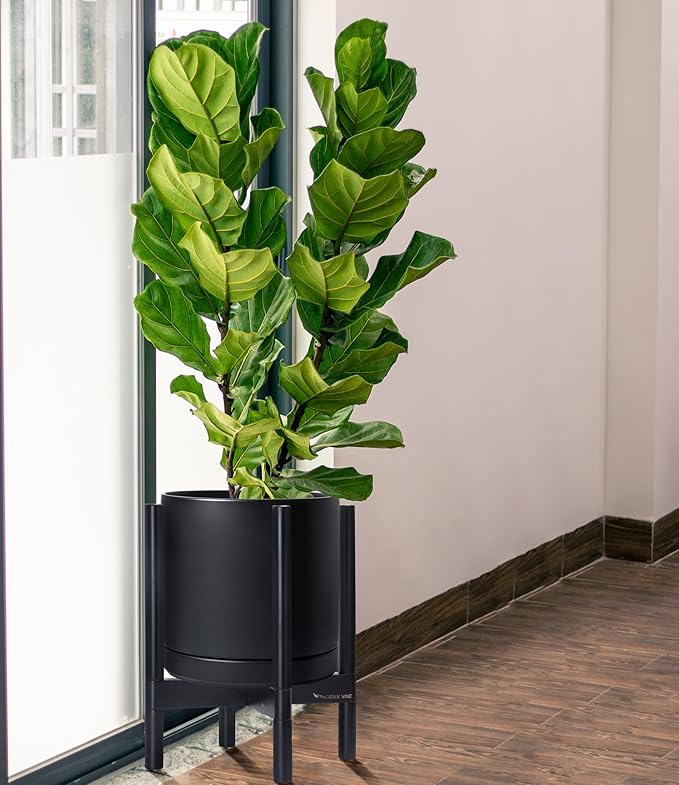 D'vine Dev Ceramic Planter with Ebony Stand - 12 Inch Modern Round Flower Pot with Wood Planter Holder, Black, 55-B-H-2 - Bloomnest