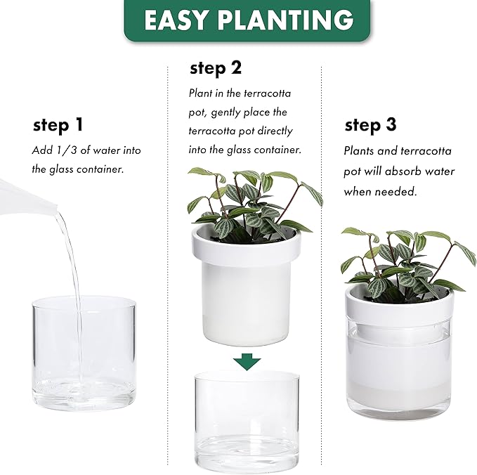 Phoenix Vine 6 Inch 4 Inch Self Watering Planter, White Terracotta Clay Pots with Glass Reservoir for Indoor Plants, Herbs, Flowers, 52-B-G-46 - Bloomnest