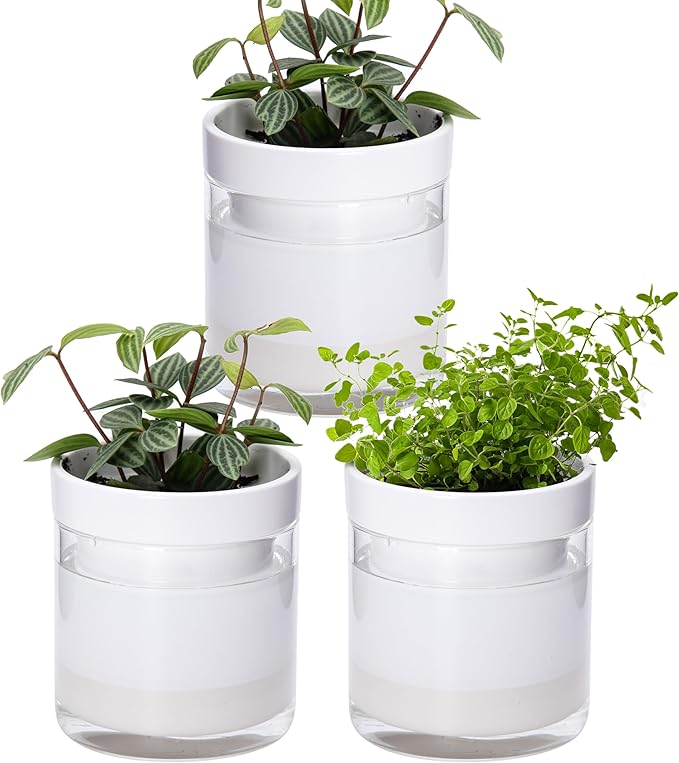 Phoenix Vine 4 Inch Self Watering Planter, White Terracotta Clay Pot with Glass Reservoir for Indoor Plants, Herbs, Flowers, Set of 3, 52-B-E-3 - Bloomnest