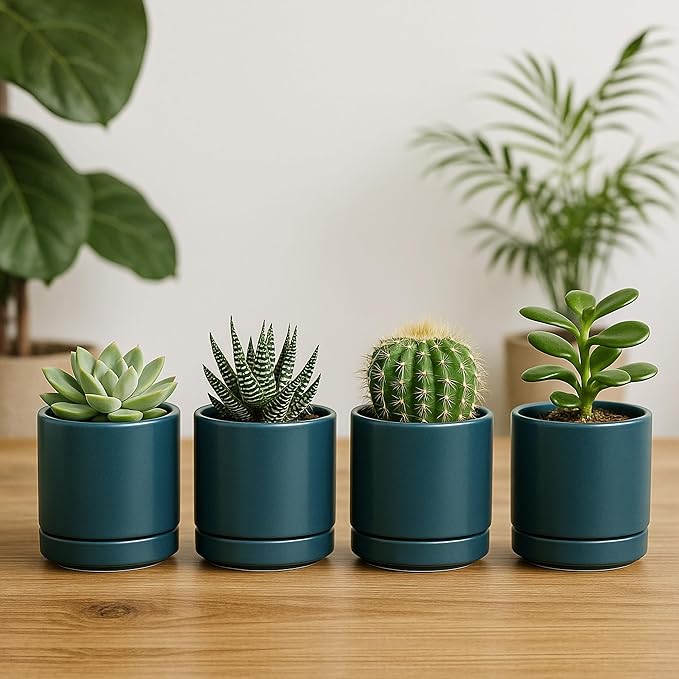 D'vine Dev Set of 4 Small Ceramic Plant Pots, 3.5 Inch Succulent Planter Pot for Plants with Drainage Hole and Saucer, Teal, 94-X-A-9 - Bloomnest