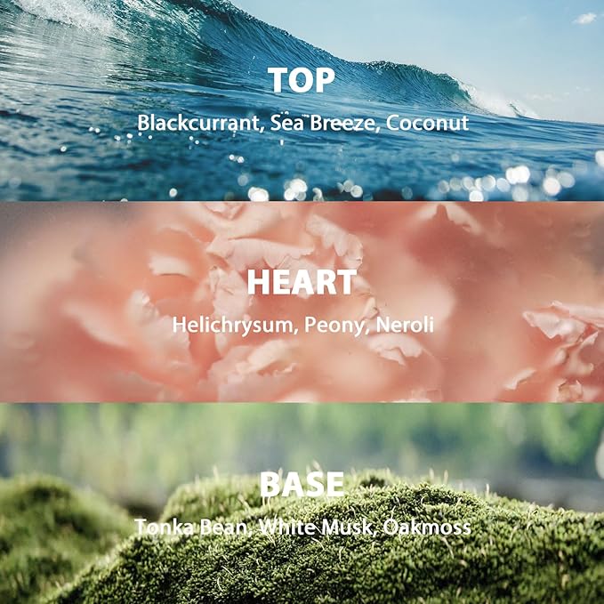 Reed Diffuser Set, 9.85 oz Ocean Breeze Scented Diffuser with Decorative Card Home Fragrance Reed Diffuser for Bathroom Shelf Decor, Ideal Gift for Woman