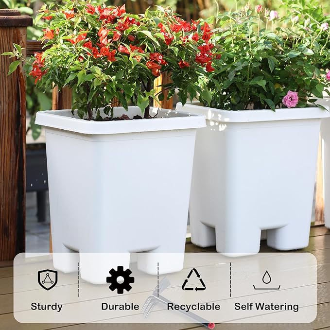 Growing Vegetable Planter Pot 3 Packs, 15 * 14.2 Inches Deep Rectangle Pots for Vegetable Fruit Flower, Large Planters with Trays, for Patio Garden Balcony Home Porch Yard Indoor Outdoor (White) - Bloomnest