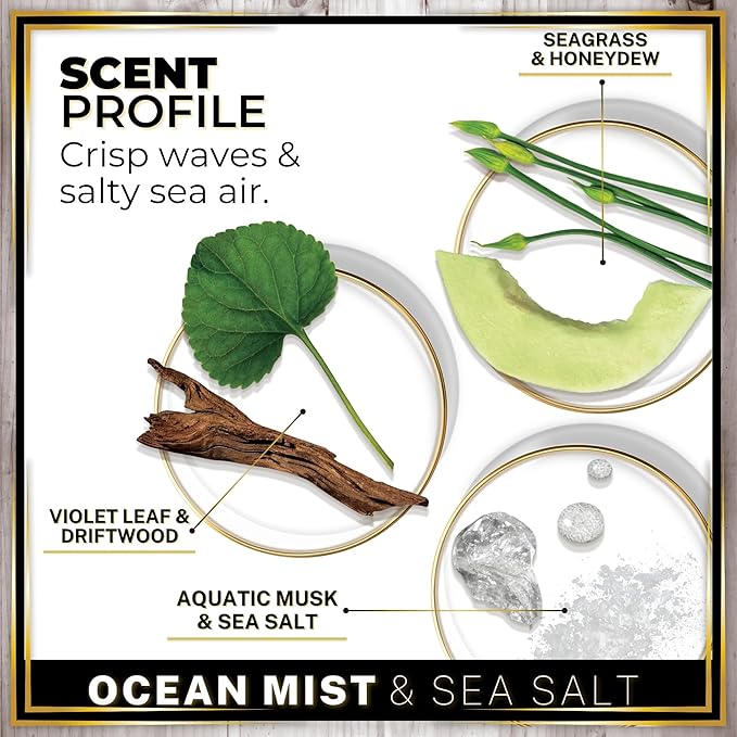 Urban Naturals Car Air Freshener Diffuser 1 Pack - Ocean Mist & Sea Salt Scent, 45+ Days Long Lasting Fragrance, Made in USA, Glass & Wood, Hanging Design + Vent Cip, Easy To Use - Bloomnest