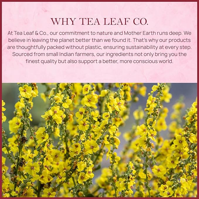 Tealeaf & Co. Mullein Leaf Tea Blended with Fresh Herbs - Pure Herbal Tea Bags with Mullein Leaf Extract - Flavored Herbal Blend - Low Caffeine - Gluten Free - 50 Teabags - Bloomnest