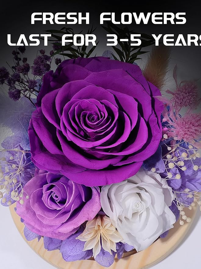 FIACO Valentines Day Gifts for Her Preserved Rose Forever Fresh Flowers for Delivery Birthday Flowers Gifts for Women Mom Grandma Wife Friends Purple Eternal Roses in Glass Dome - Bloomnest
