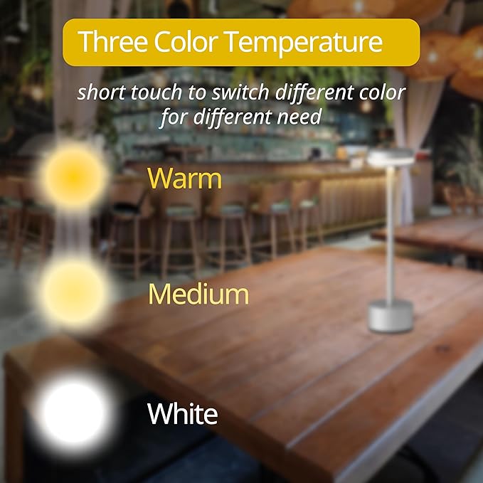 Cordless Table Lamp, Portable Rechargeable Bedside Lamp, Touch Stepless Dimmable Desk Lamp, for Home Bedroom Hotel Restaurant Bar Outdoor, 2 Set, Silver - Bloomnest