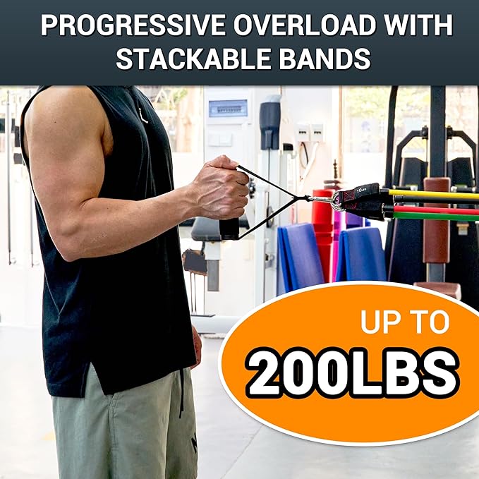 TheFitLife Resistance Bands with Handles - Designed for American Body Types, Exercise Workout Tubes for Men, Women, Includes Large Handles, Ankle Straps, Door Anchor, Fitness Levels - Bloomnest