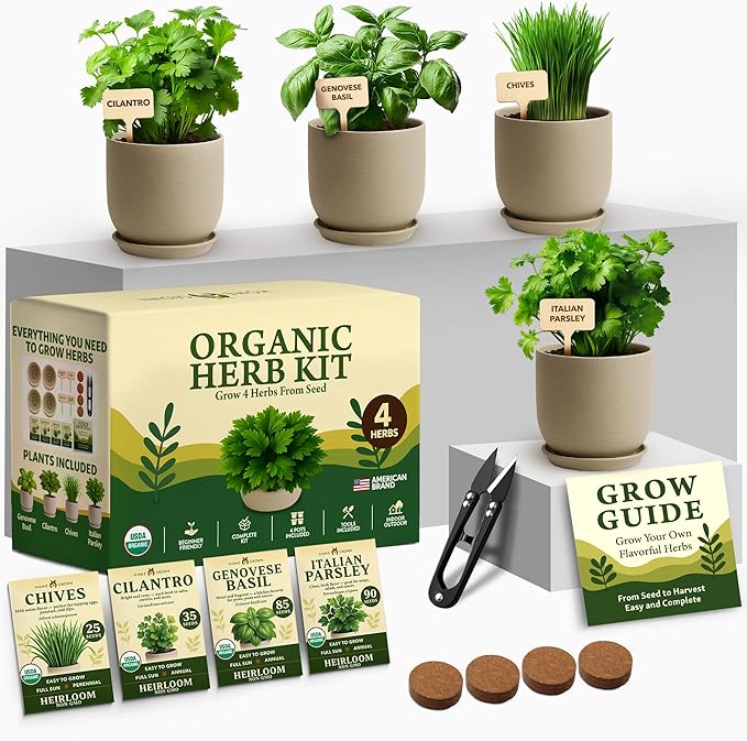 HOME GROWN Organic Herb Garden Kit – 4 Herb Seeds, Soil, Pots, Tools & Grow Guide – Grow Basil, Parsley, Cilantro & Thyme Indoors – USDA Organic, Non-GMO, Ideal Gift for Christmas & Thanksgiving
