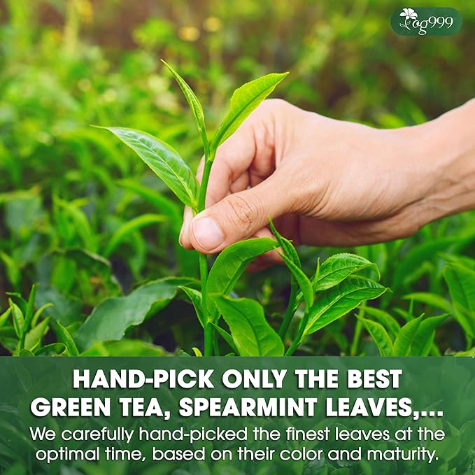 TOG999, Premium Matcha Green Tea Bags | 120 Count | Blend of Sencha, Green Tea, Spearmint & Orange Slices – Refreshing Flavor, Naturally Vibrant, No Gluten. Vegan. - Bloomnest