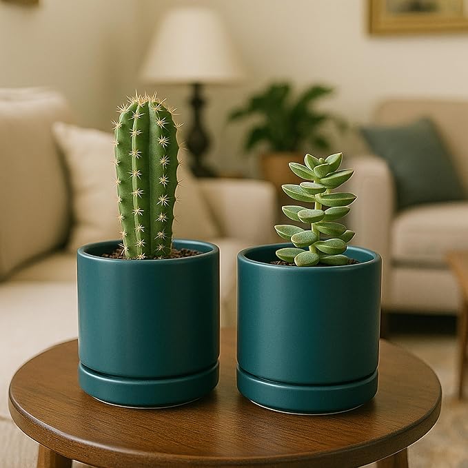 D'vine Dev Set of 4 Small Ceramic Plant Pots, 4.7 Inch Succulent Planter Pot for Plants with Drainage Hole and Saucer, Teal, 94-X-B-9 - Bloomnest