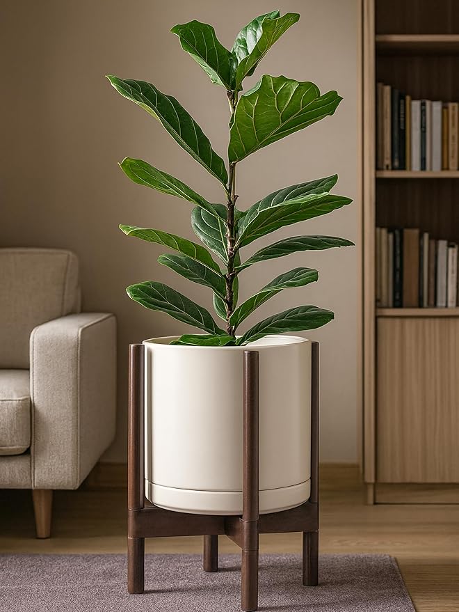 D'vine Dev Ceramic Planter with Walnut Color Stand - 12 Inch Modern Round Flower Pot with Wood Planter Holder, Oatmeal, 55-B-W-8 - Bloomnest