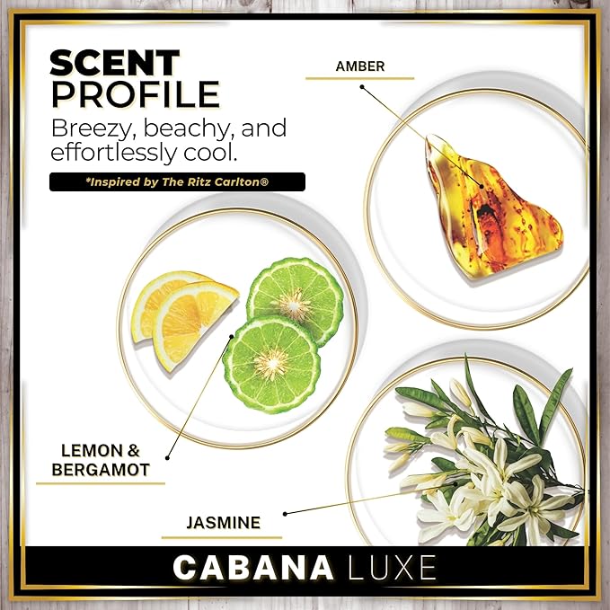 Urban Naturals Car Air Freshener Hanging + Vent Clip, Cabana Luxe Scent Diffuser, Long Lasting Car Fresheners Made in USA, Auto Accessories for women (1 Pack) - Bloomnest