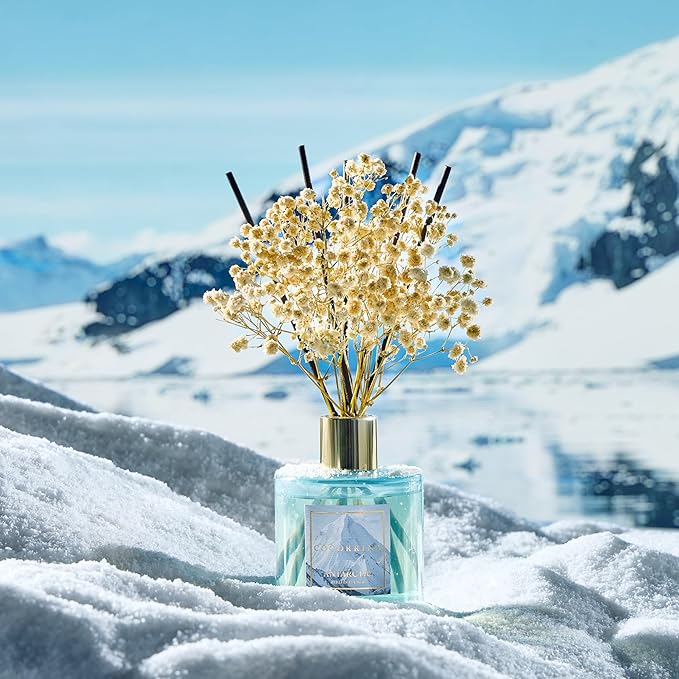 COCORRÍNA Reed Diffuser - Antarctic 6.7 Fl.oz Reed Diffuser Set with 8 Sticks & Preserved Baby's Breath, Reed Diffuser for Home Bathroom Shelf Decor - Bloomnest