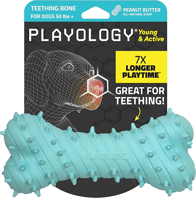 Playology Dog Toys | Puppy Toy Teething Bone Designed for Young & Active Dogs | Jumbo Peanut Butter Scented Toy Made from Non Toxic Materials - Bloomnest