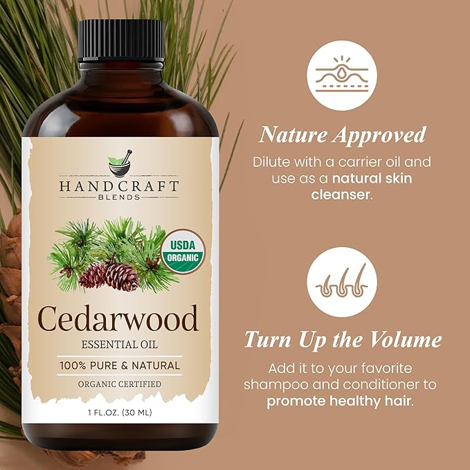 Handcraft Blends Organic Cedarwood Essential Oil – 1 Fl Oz – 100% Pure and Natural – Premium Grade Essential Oil for Diffuser and Aromatherapy HandcraftBlends