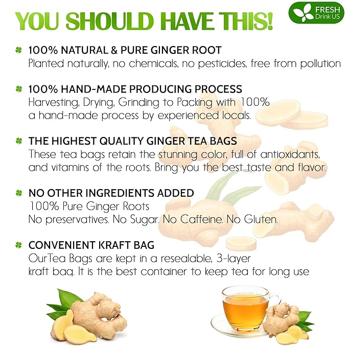 FreshDrinkUS, 150 Premium Ginger Tea Bags, Non GMO, 100% Natural & Pure from Ginger Root, Root Herbal Tea. No Sugar, No Caffeine, No Gluten, Vegan. Support Stronger Digestion, Pleasantly Spicy & Warming - Bloomnest