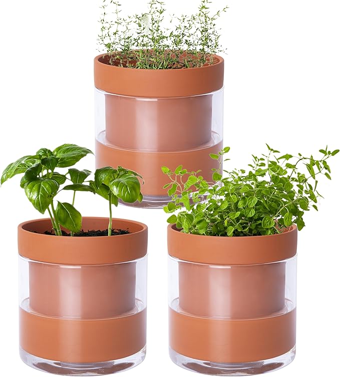 Phoenix Vine 4 Inch Self Watering Planter Pot, Terracotta Clay Pot with Glass Reservoir for Indoor Plants, Herbs, Flowers, Set of 3, 52-A-E-3 - Bloomnest
