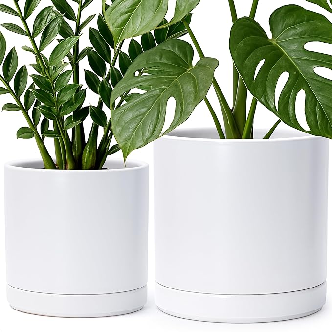 D'vine Dev 8.2 Inch & 10 Inch Ceramic Planter Pot for Plants with Drainage Hole and Saucer, Large Plant Pots Set, White, 94-G-L-1 - Bloomnest