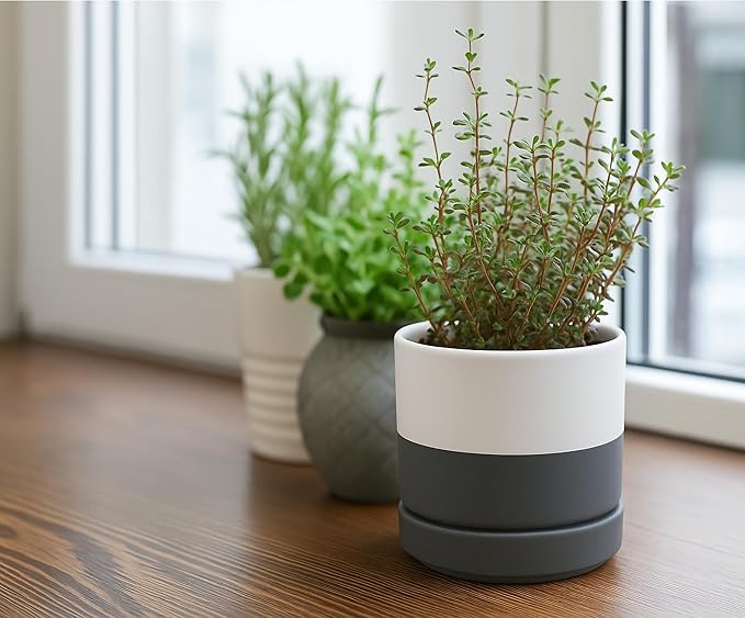 D'vine Dev 3.5 Inch & 4.7 Inch Ceramic Planter Pots for Plants with Drainage Hole and Saucer, X-Small Plant Pots Set, White/Speckled Grey, 94-G-XS-6 - Bloomnest