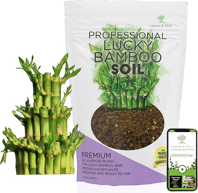 Professional Lucky Bamboo Soil | Large 2.2 Quarts Ready to Use for Lucky Bamboo Plants | Peat Moss, Coco Coir, Perlite, Dolomite | Made in USA - Bloomnest