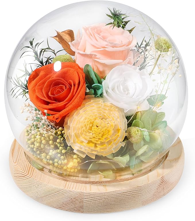 FIACO Preserved Rose Birthday Gift for Women Forever Fresh Flowers for Prime Delivery Gift for Mom Grandma Wife Valentines Mothers Day Christmas Anniversary Eternal Roses in Glass Dome - Bloomnest
