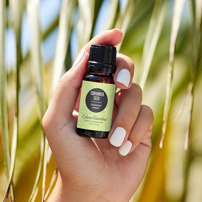 Edens Garden Coriander Seed Essential Oil- 100% Pure Premium Grade, Undiluted, Natural, Therapeutic, Aromatherapy, The Best for Diffuser, Skin, Candle, Kid Safe 30 ml (1 fl oz) - Bloomnest