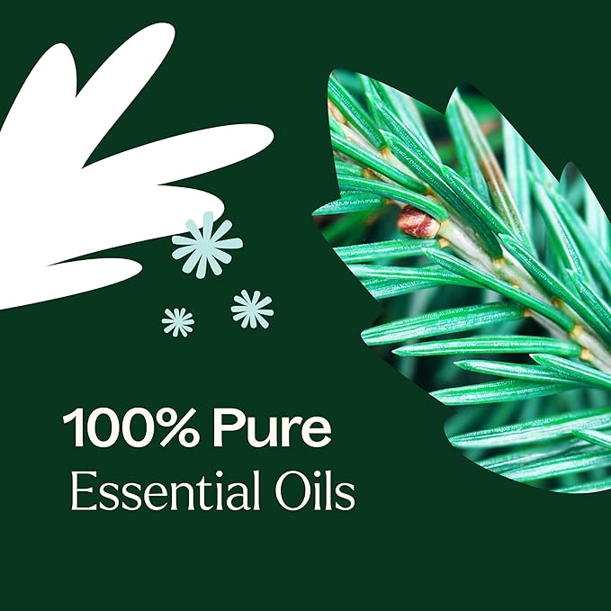Plant Therapy Christmas Tree Holiday Essential Oil Blend 10 mL (1/3 oz) Crisp & Refreshing, Traditional Holiday Scent, Supports a Healthy Respiratory System - Bloomnest