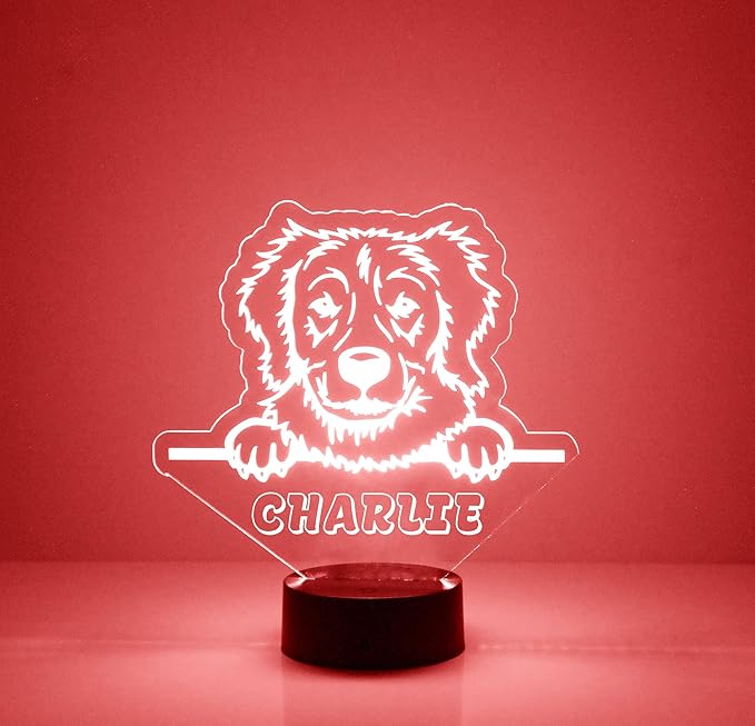 Custom Golden Retriever Dog LED Sign Night Light Lamp with Remote, Light Up Display with Personalized Name or Image, Customized, Made in The USA, Clear Acrylic Home Decor Design, 16 Colors, 4 Modes - Bloomnest