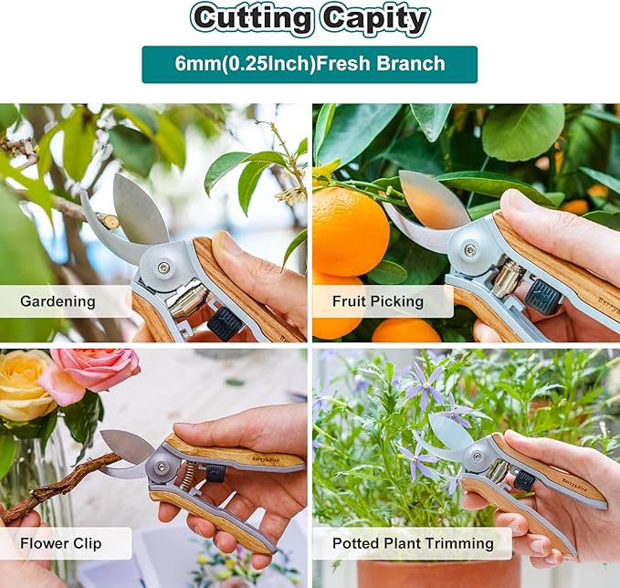 Berry&Bird Mini Pruning Shears for Gardening Curved Blades Hand Pruners with Wooden Handle Garden Scissors Snips Stainless Steel Trimming Small Clippers Bonsai Compact Size Sheaering Tool - Bloomnest
