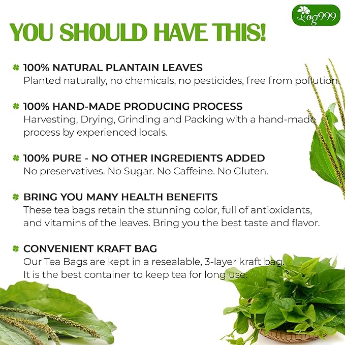 TOG999, Premium Tea Bags, 100% Natural & Pure, Loose Leaf Herbal Tea. No Sugar, No Gluten, Vegan. (60 Bags, Plantain Tea) - Bloomnest
