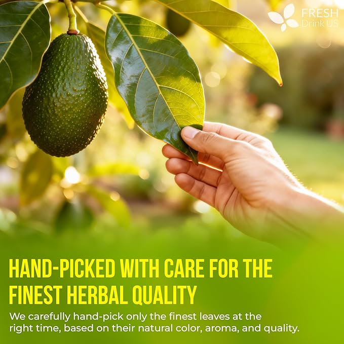 FreshDrinkUS, Avocado Leaf Tea Bags | 40 Count | Premium Dried Avocado Leaves Herbal Tea – Caffeine Free Botanical Tea – Fresh, Smooth & Earthy Flavor. Sugar Free. Vegan - Bloomnest