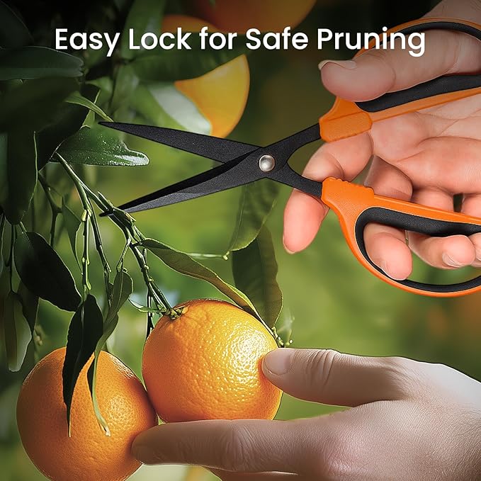 GROWNEER 3 Packs Trimming Scissors Teflon Coated Non Stick Blades Pruning Shears Gardening Hand Pruning Snips with Straight Stainless Steel Precision Blade - Bloomnest