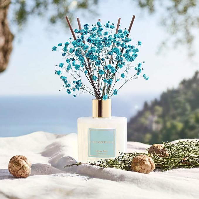 COCORRÍNA Reed Diffuser - Ocean Mist 6.7 Fl.oz Reed Diffuser Set with Sticks & Preserved Baby's Breath, Reed Diffuser for Home Bathroom Shelf Decor - Bloomnest