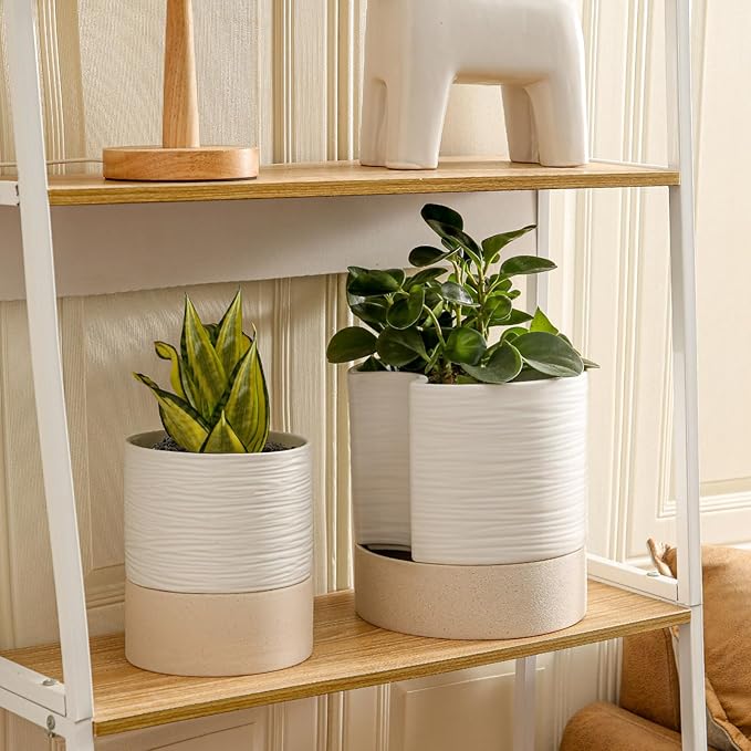 Nihow Self Watering Plant Pot: 8 Inch Ceramic Planter with Drainage Hole & Water Storage Plus for Indoor & Outdoor Plants - Cylinder Round Flower Pot for Succulent/Herbs/Violets - White & Brown - Bloomnest