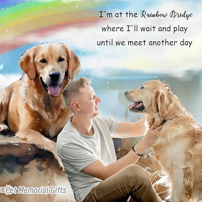 TONY & SANDY Dog Memorial Gifts, Pet Sympathy Rainbow Bridge Pet Memorial Bracelet for Men Women Girls Who Loss of Beloved Dog Cat - Bloomnest