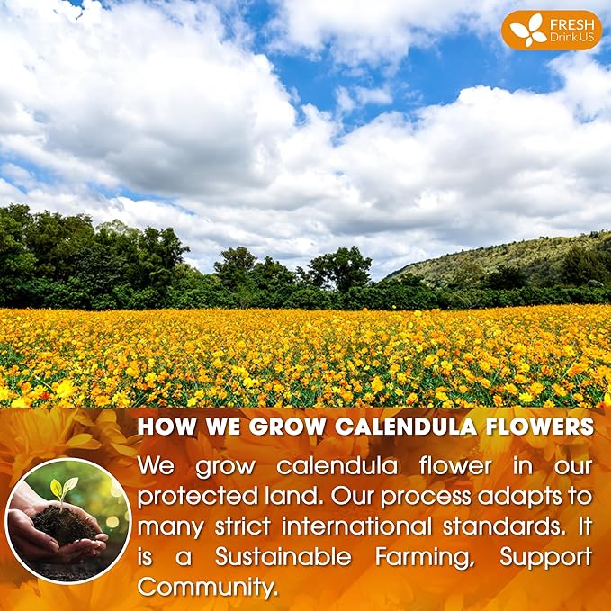 FRESHDRINKUS Premium 100% Natural Calendula Flower Tea Bags, 135 Count, Herbal Tea, Caffeine Free, Sugar Free, Gluten Free, Vegan - Bloomnest