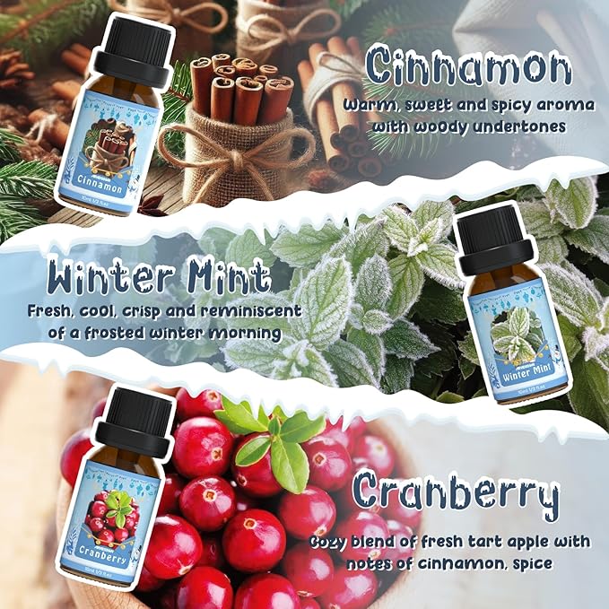 Winter Essential Oils Set, ARVIDSSON Holiday Fragrance Oil for Diffuser, Cinnamon, Christmas Wreath, Apple Cider, Gingerbread, Cranberry, Winter Mint Scented Oils for Home - Bloomnest